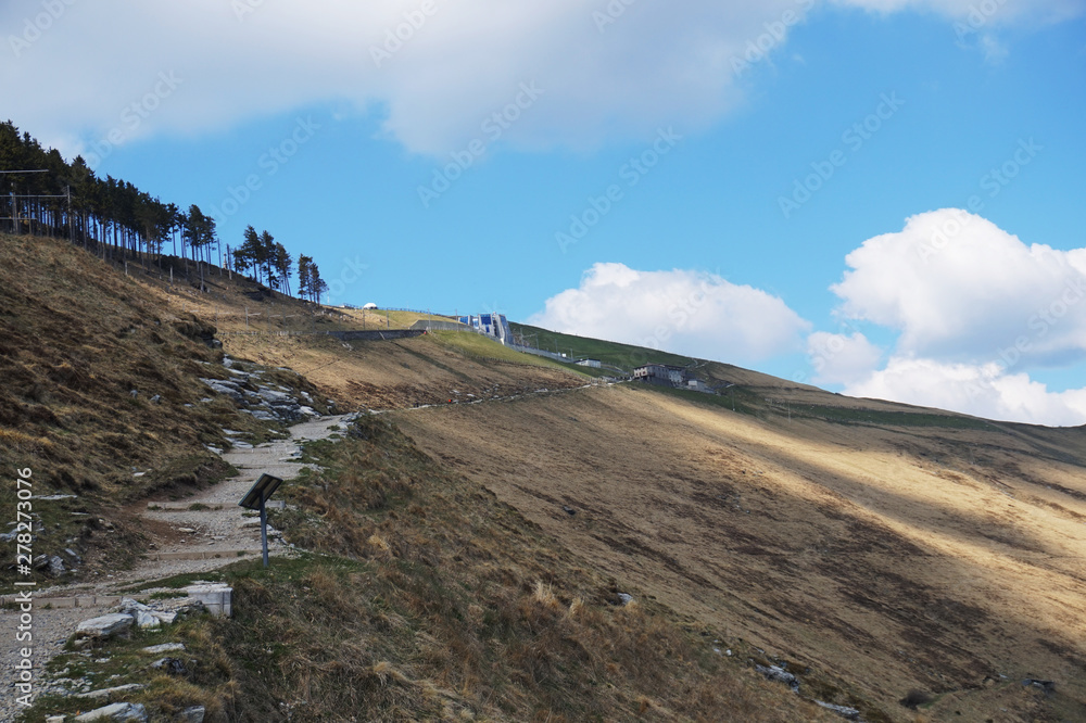 monte generoso e fiore di pietra