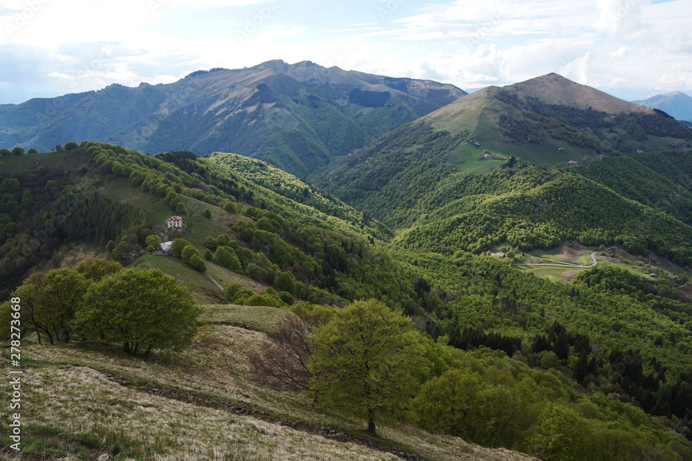 Naklejka premium góra w pobliżu jeziora