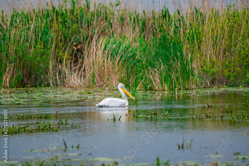 Danube Delta view