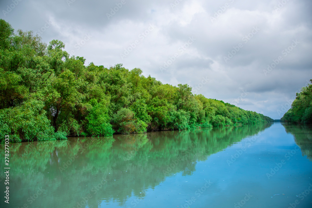 Landscape in Danube Delta