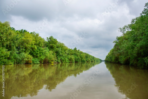 Landscape in Danube Delta