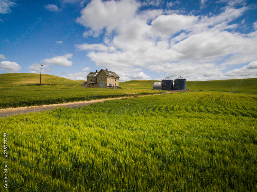 Abandoned Farmhouse in a Wheat Field. A classic farmhouse located in the palouse area of eastern Washington state sits in the middle of a maturing wheat field abandoned long ago as the main residence. Abandoned Farmhouse in a Wheat Field. A classic farmhouse located in the palouse area of eastern Washington state sits in the middle of a maturing wheat field abandoned long ago as the main residence.