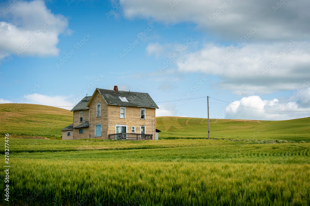 Abandoned Farmhouse in a Wheat Field. A classic farmhouse located in