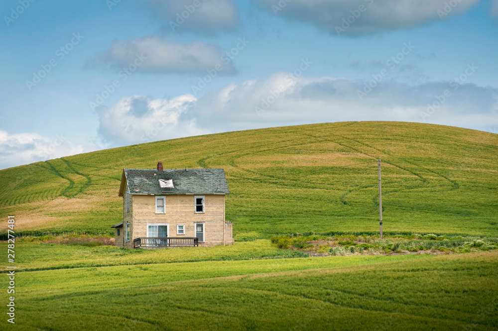 Abandoned Farmhouse in a Wheat Field. A classic farmhouse located in the palouse area of eastern Washington state sits in the middle of a maturing wheat field abandoned long ago as the main residence.