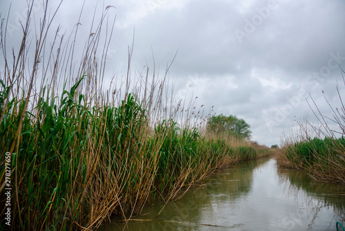 Danube delta landscape