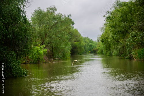 Danube delta landscape