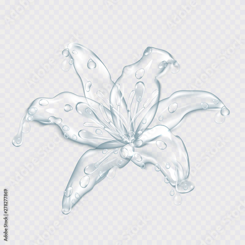 A flower of lilies with drops of water. Vector illustration.