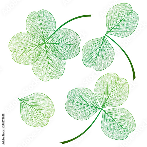 Set leaf clover . Vector illustration. EPS 10 © helenagl