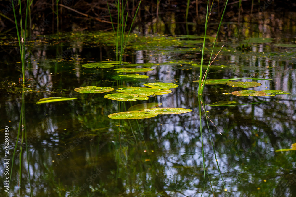 Danube Delta Danube Delta
