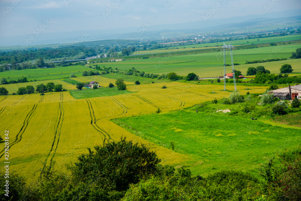 Fototapeta premium Traces on the wheat field