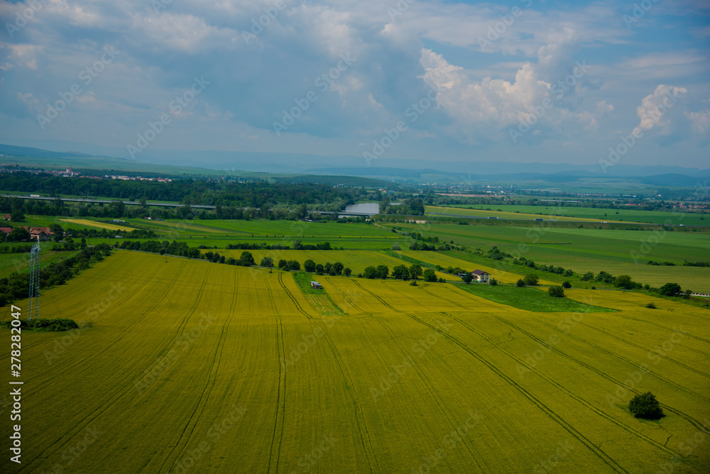 Traces in wheat field