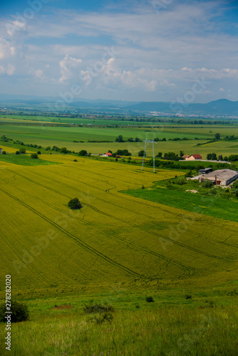 Traces in wheat field