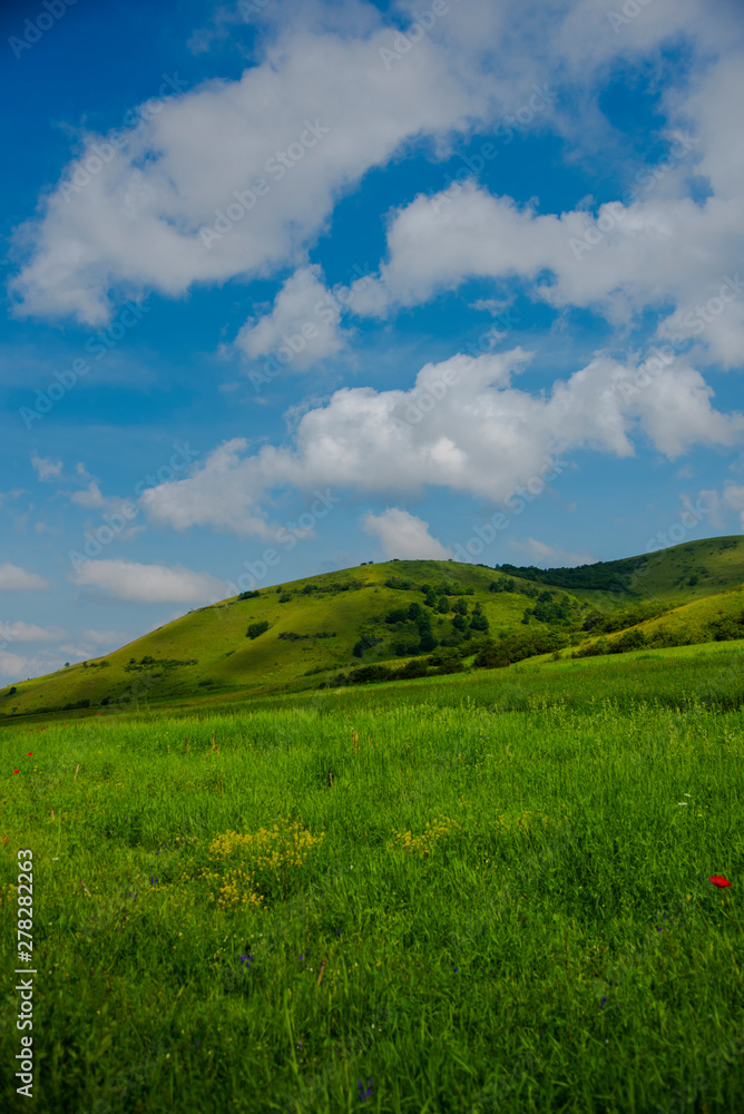 Springtime landscape