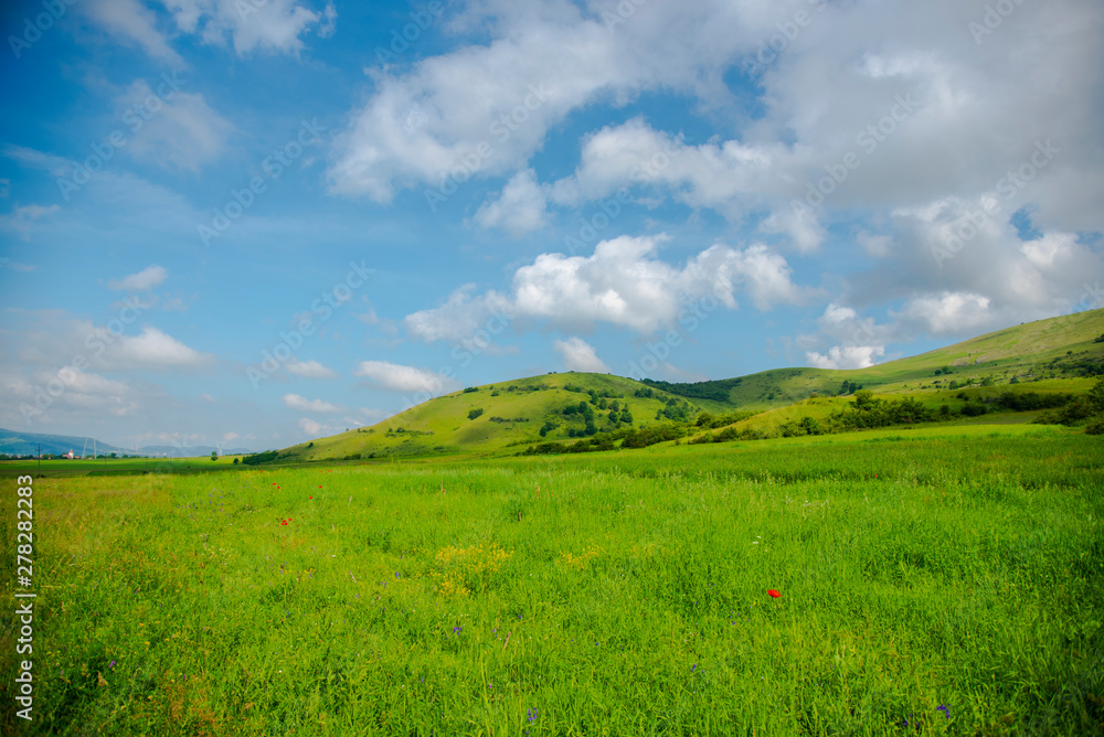 Springtime landscape