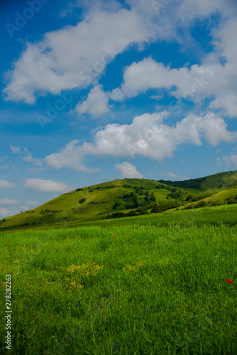 Springtime landscape