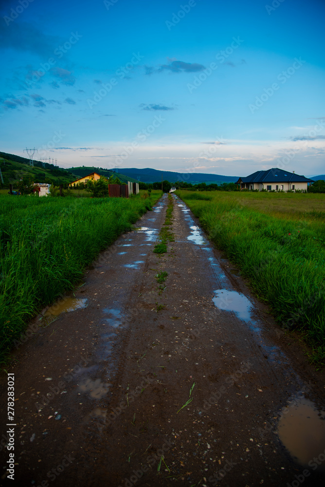 Obraz premium rural road in the countryside