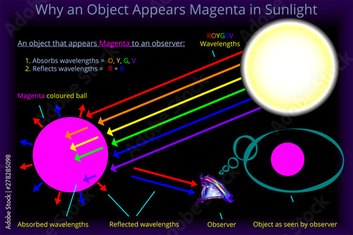Why an Object Appears Magenta in Sunlight