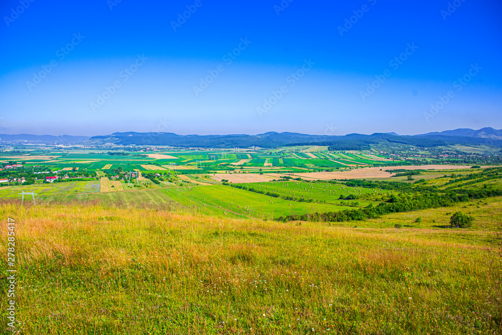 Obraz premium Summer landscape