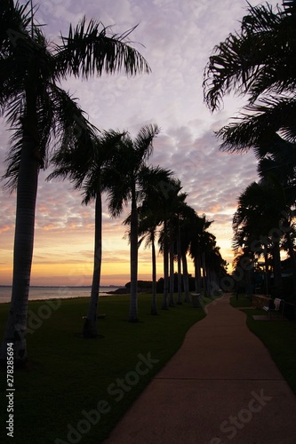 Footpath lined with Palm Tree Silhouettes at Sunrise © Annalucia