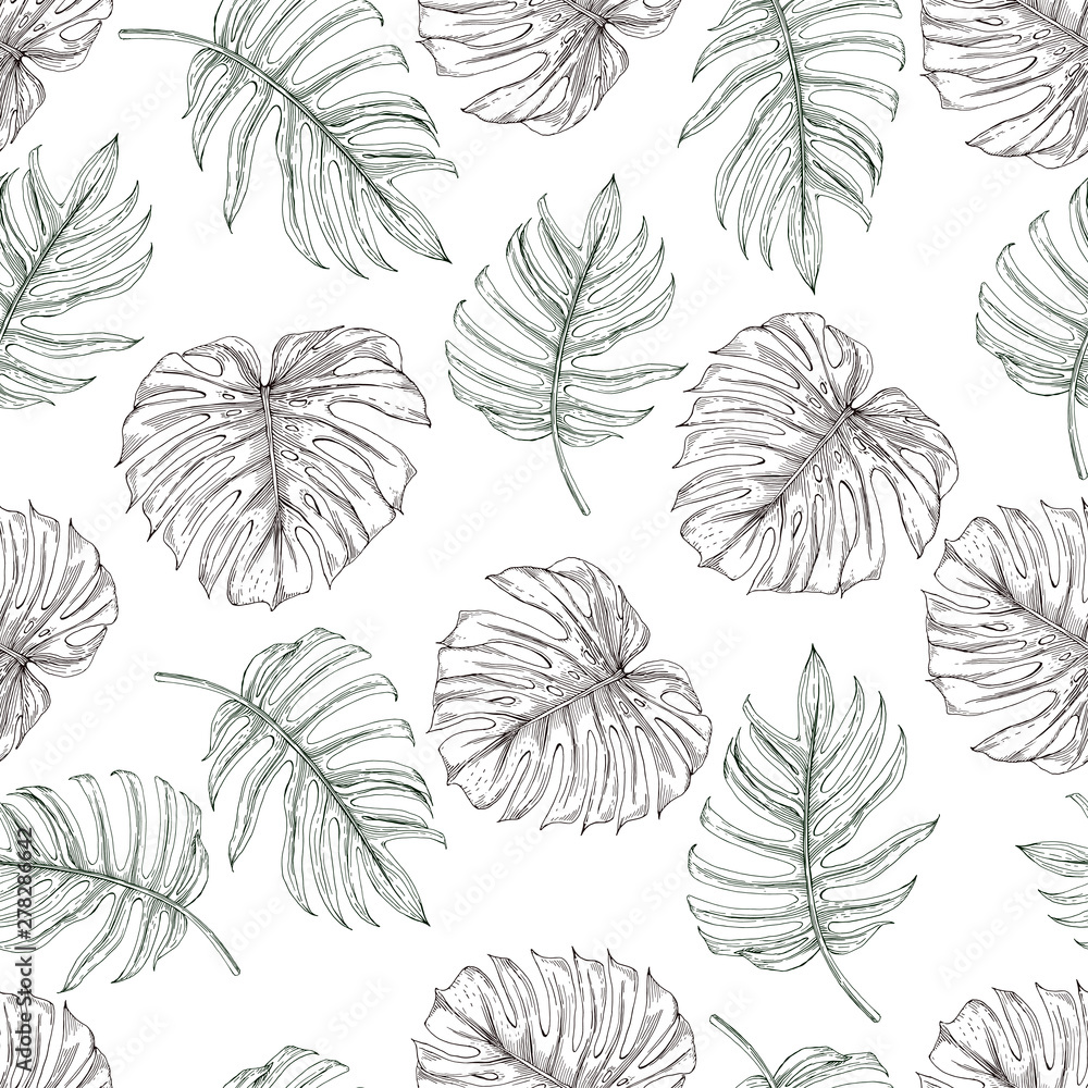 Fototapeta premium Sketch from tropical leaves