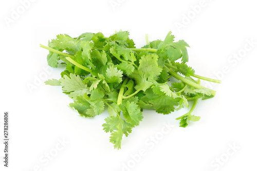 Healthy Food and herbs bunch of coriander leaves vegetable isolated on white background