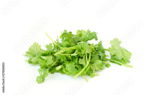Healthy Food and herbs bunch of coriander leaves vegetable isolated on white background
