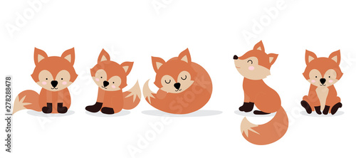 Cute fox character are standing,sitting and sleeping. Vector illustration for birthday invitation,postcard and sticker.Editable element photo