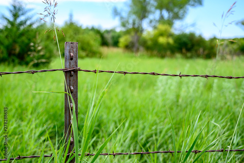фотографія Metal T post with barbed wire fencing along edge of pasture field