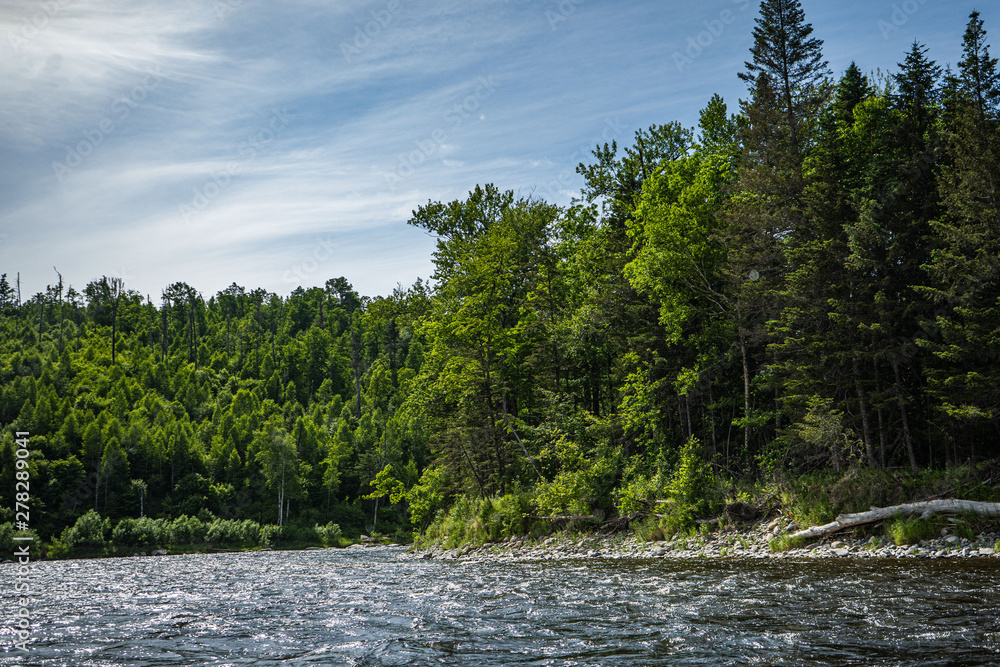 Valley Of The Mountain River Anyuy. Khabarovsk territory in the far East of Russia. The view of Anyui river is beautiful. Anyu national Park. Landscape mountain river in the Russian taiga.