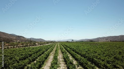 Wallpaper Mural Valley of Guadalupe Mexico Torontodigital.ca