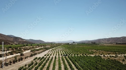 Wallpaper Mural Valley of Guadalupe Mexico Torontodigital.ca