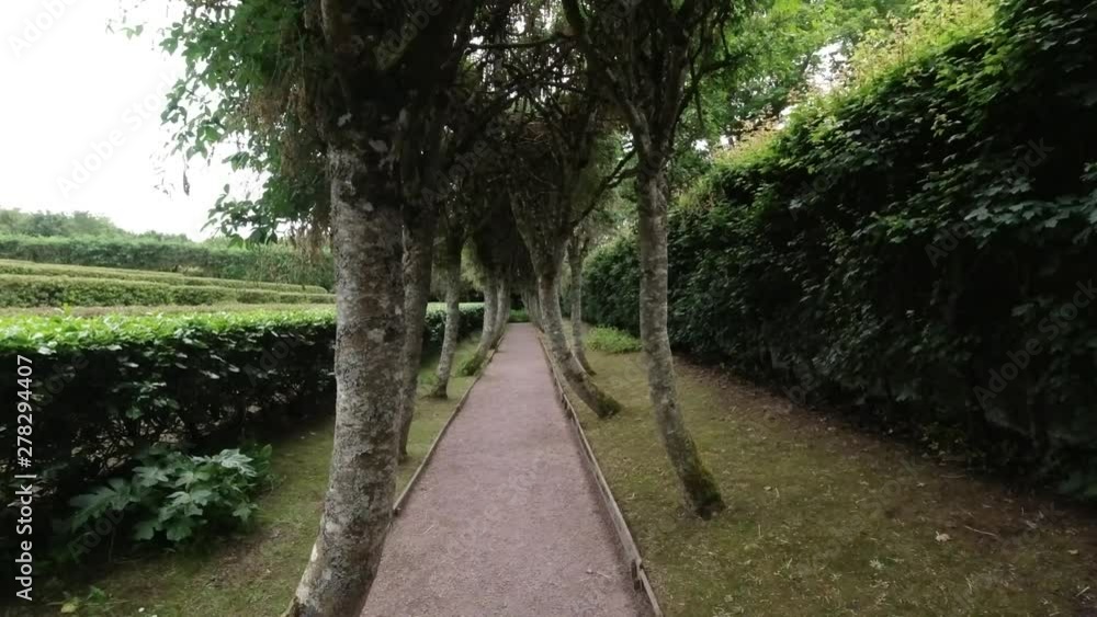 A walk through the trees at Conway Castle in Scotland A walk through the trees at Conway Castle in Scotland