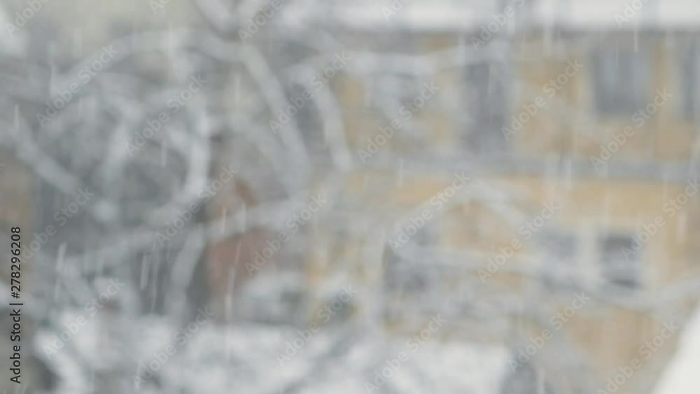 Dense snowflakes falling on a colorful backdrop. Wide shot. Dense snowflakes falling on a colorful backdrop. Wide shot.