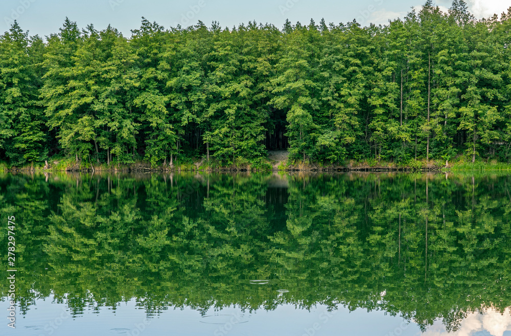 forest lake in the evening, reflected in the water surface of the sky with clouds and trees forest lake in the evening, reflected in the water surface of the sky with clouds and trees