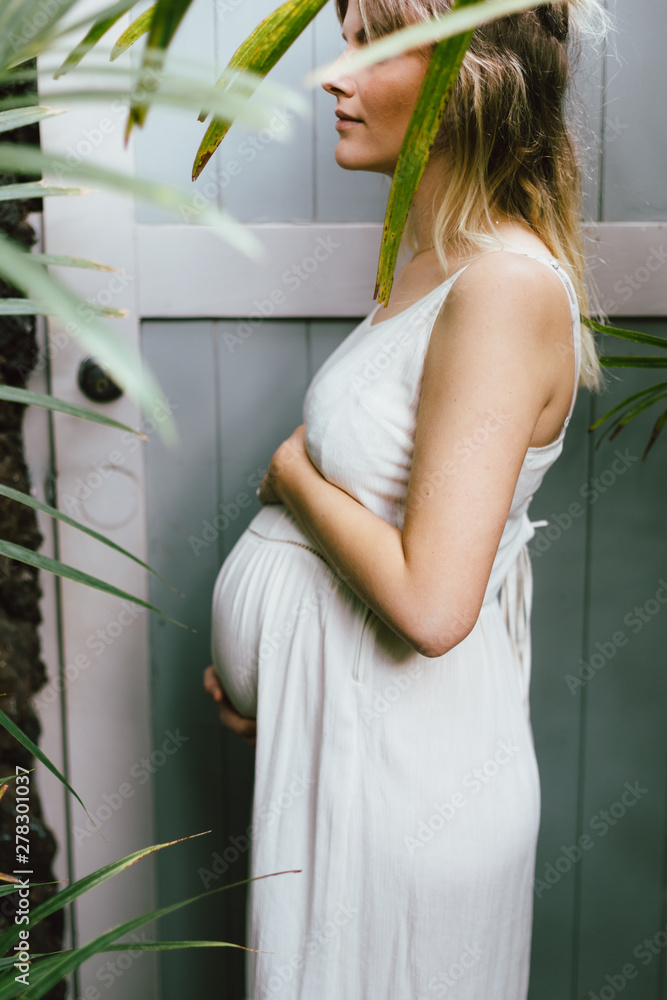 Pregnant Mother In Mid 20s Pregnant Mother In Mid 20s