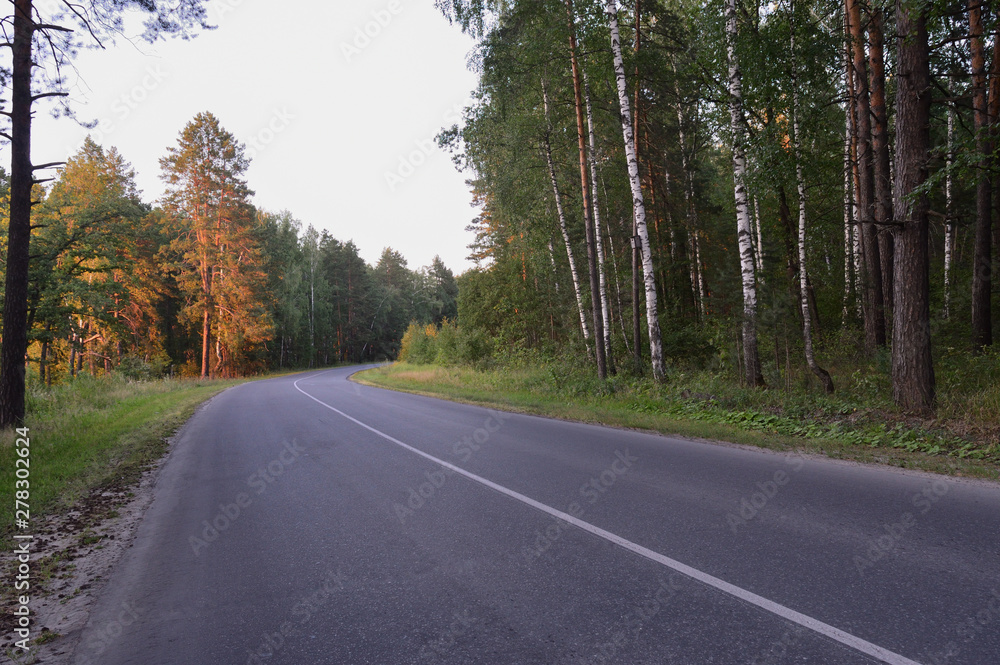 Scenic road in the forest at sunset.