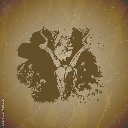 Vector illustration of hand drawn skull antelope with grunge elements on vintage background. Sketch in sepia color.