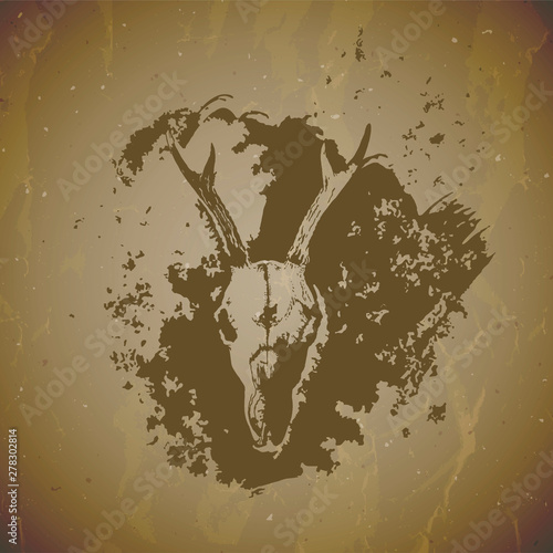 Vector illustration of hand drawn skulls roe deer with grunge elements on vintage background. Sketch in sepia color.