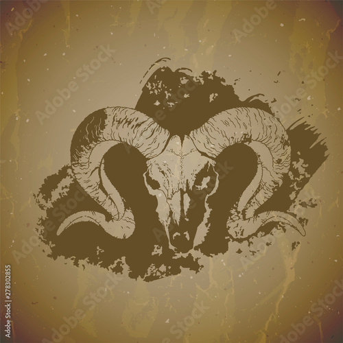 Vector illustration of hand drawn skull wild ram with grunge elements on vintage background. Sketch in sepia color.