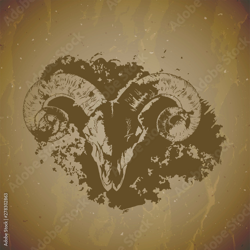 Vector illustration of hand drawn skull ram with grunge elements on vintage background. Sketch in sepia color.