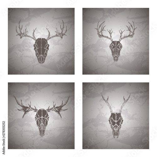 Vector set of four illustrations with hand drawn silhouettes skulls roe deer, moose and stag on vintage grunge background. Sketch in dark color.