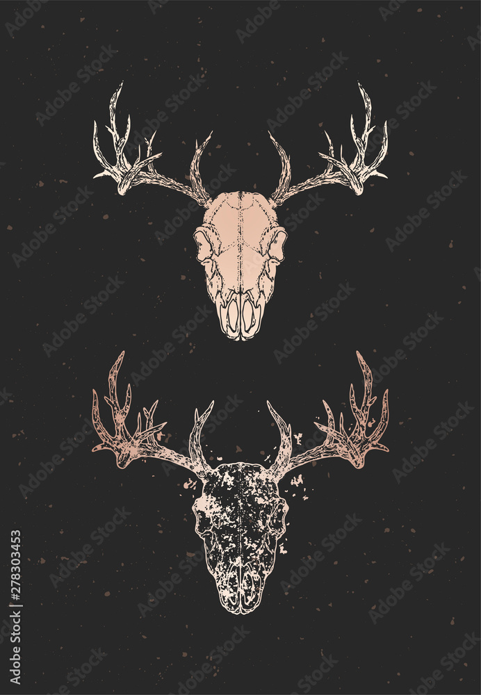Vector illustration with two variants of hand drawn deer skull on black ...