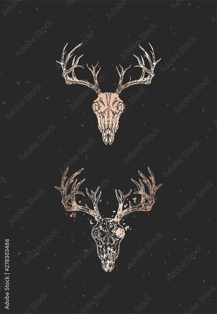 Vector illustration with two variants of hand drawn deer skull on black ...