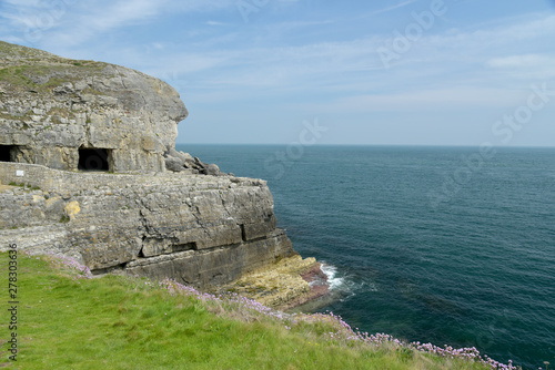 Obraz na płótnie Coastal path beside Tilly Whim quarry near Durlston Castle on the way to Swanage on the Dorset coast w salonie