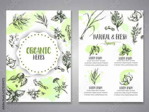 Herbs and spices posters. Herb  plant  spice hand drawn banners  menu elements. Organic garden herbs engraving. Botanical sketches. Garlic  ginger  cloves and onion vector