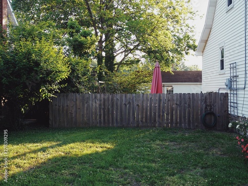 American summer backyard with umbrella and fence and green grass
