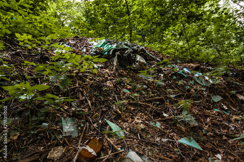 Broken glass on the ground in the woods. signs of human intervention in nature. soil and environmental pollution problems