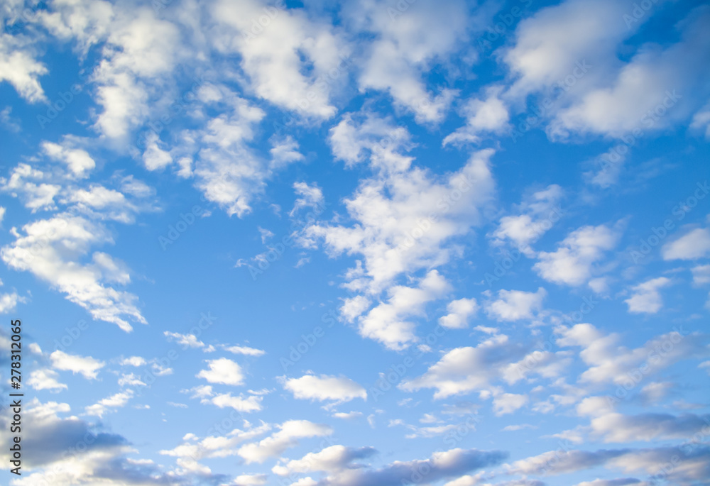 Fototapeta premium Blue sky with fluffy cloud