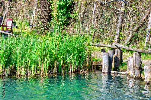 very nice little lake for fishing in massarosa tuscany , italy photo