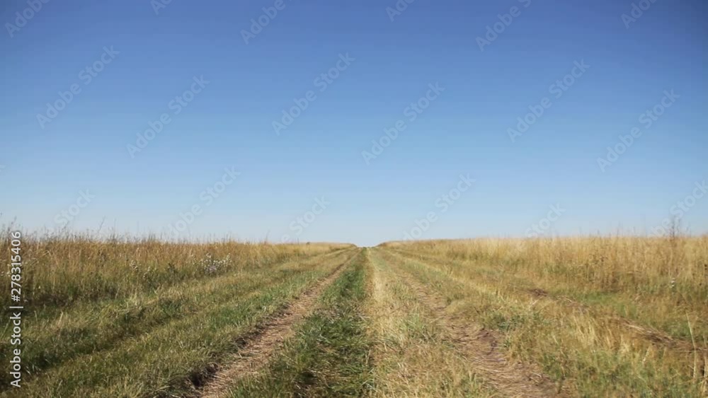 Wide, open field Wide, open field